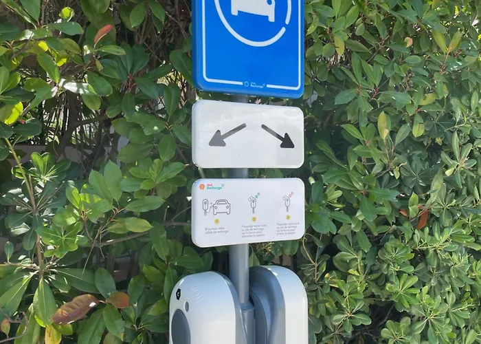 Ombre Des Pins A Tropez Xix サントロペ